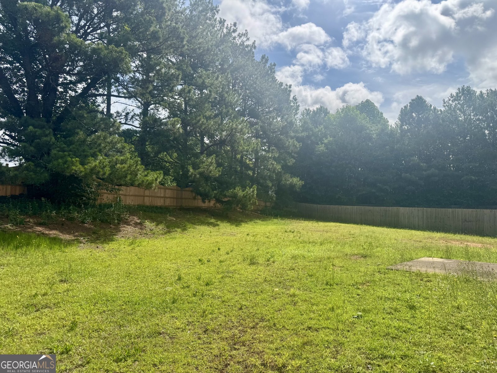 2485 Hampshire Cove Conyers - Photo 11