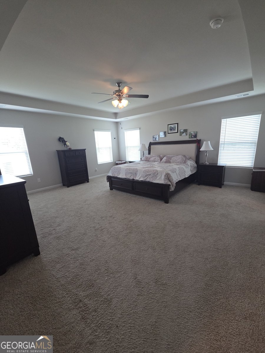 734 Basswood Avenue McDonough - Photo 16