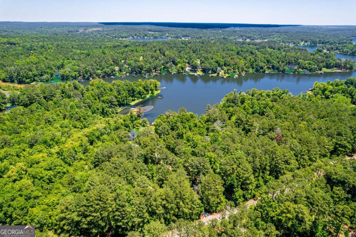 176 Crooked Creek Bay Road Eatonton - Photo 45