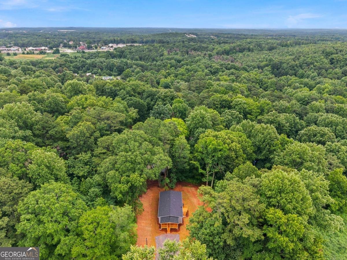 2218 Old Scenic Drive Villa Rica - Photo 7