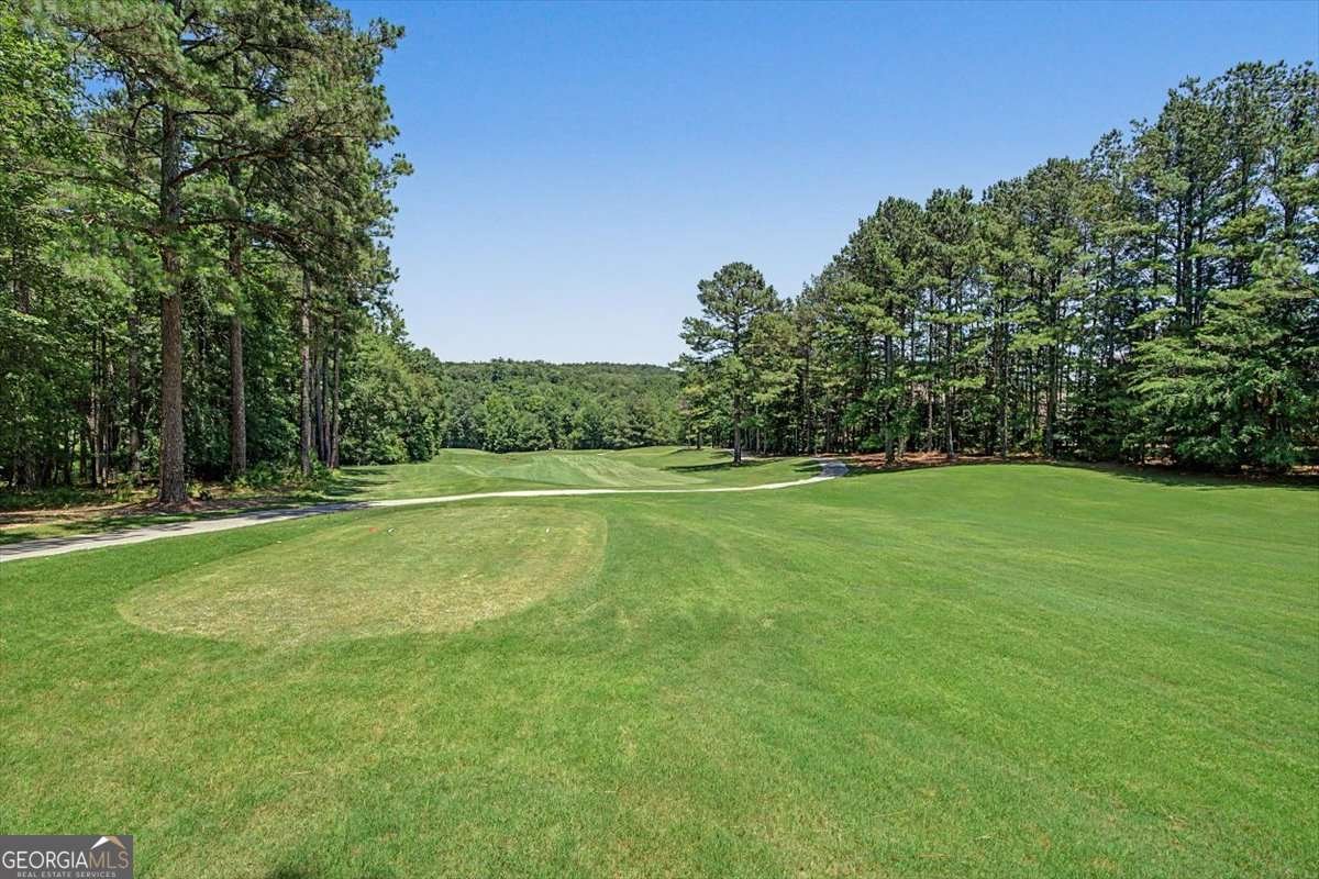 31 Rocky Brook Court Acworth - Photo 53
