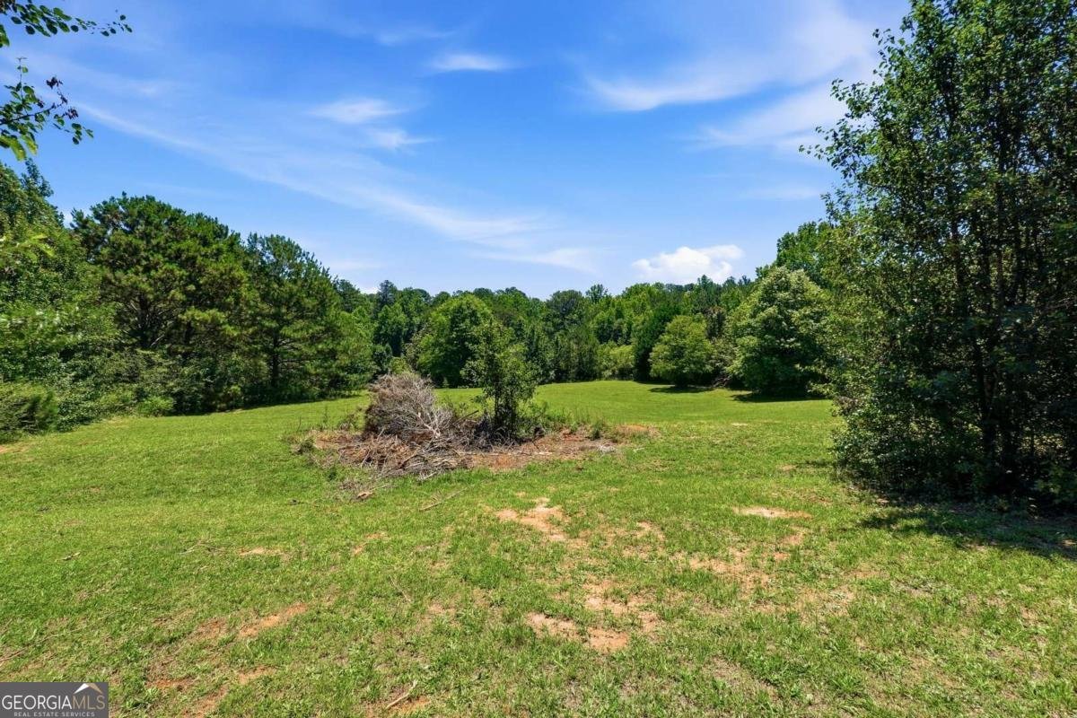 275 Jack Russell Road Newnan - Photo 32