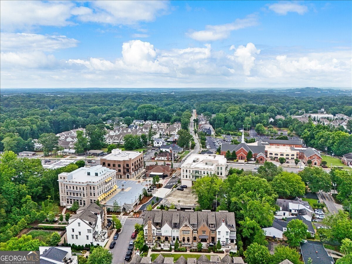 204 Violet Garden Walk Alpharetta - main photo