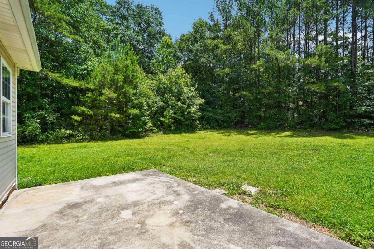 290 Reavesville Road Bowdon - Photo 28