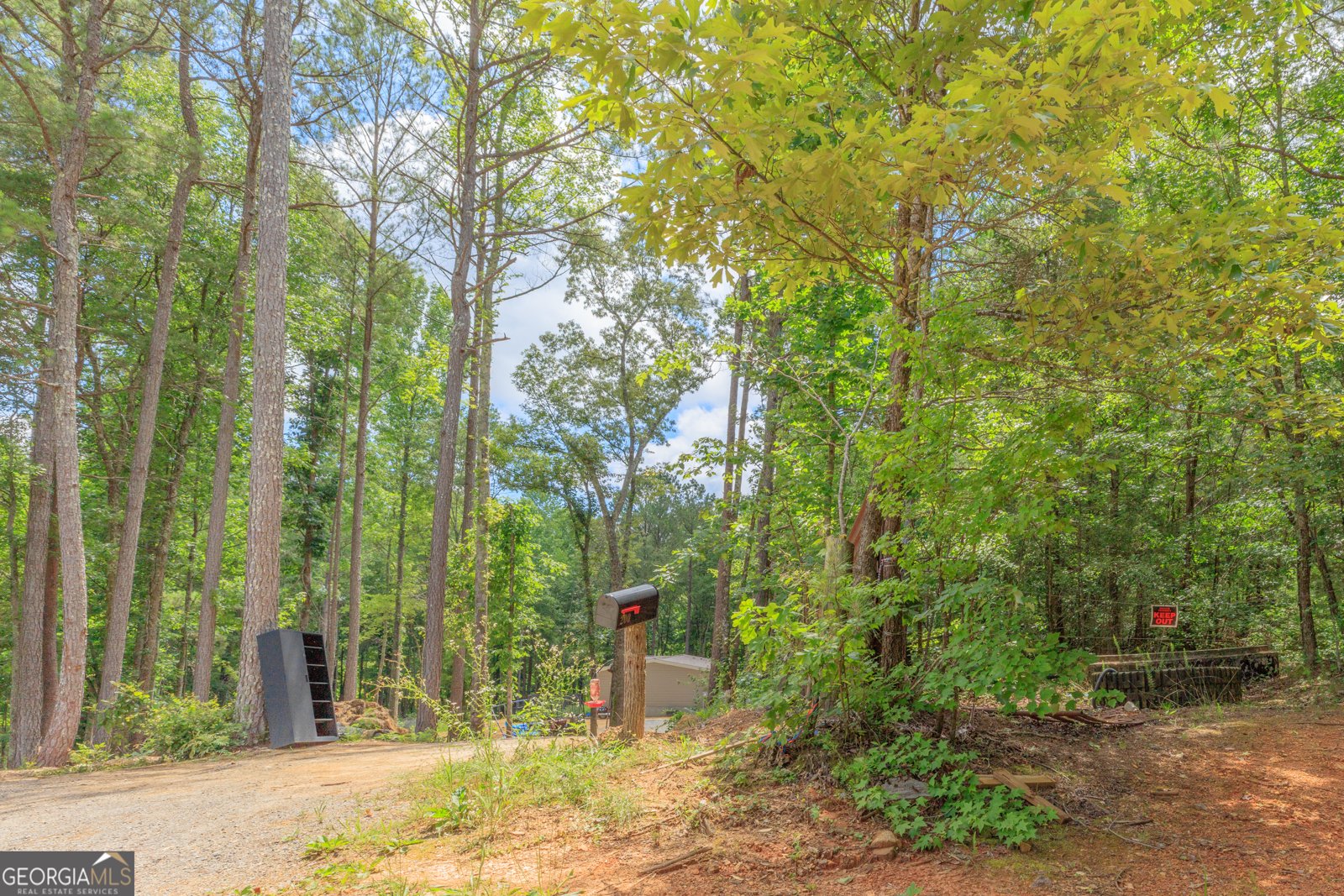 200 Wallaceville Cemeter Road Chickamauga - Photo 28