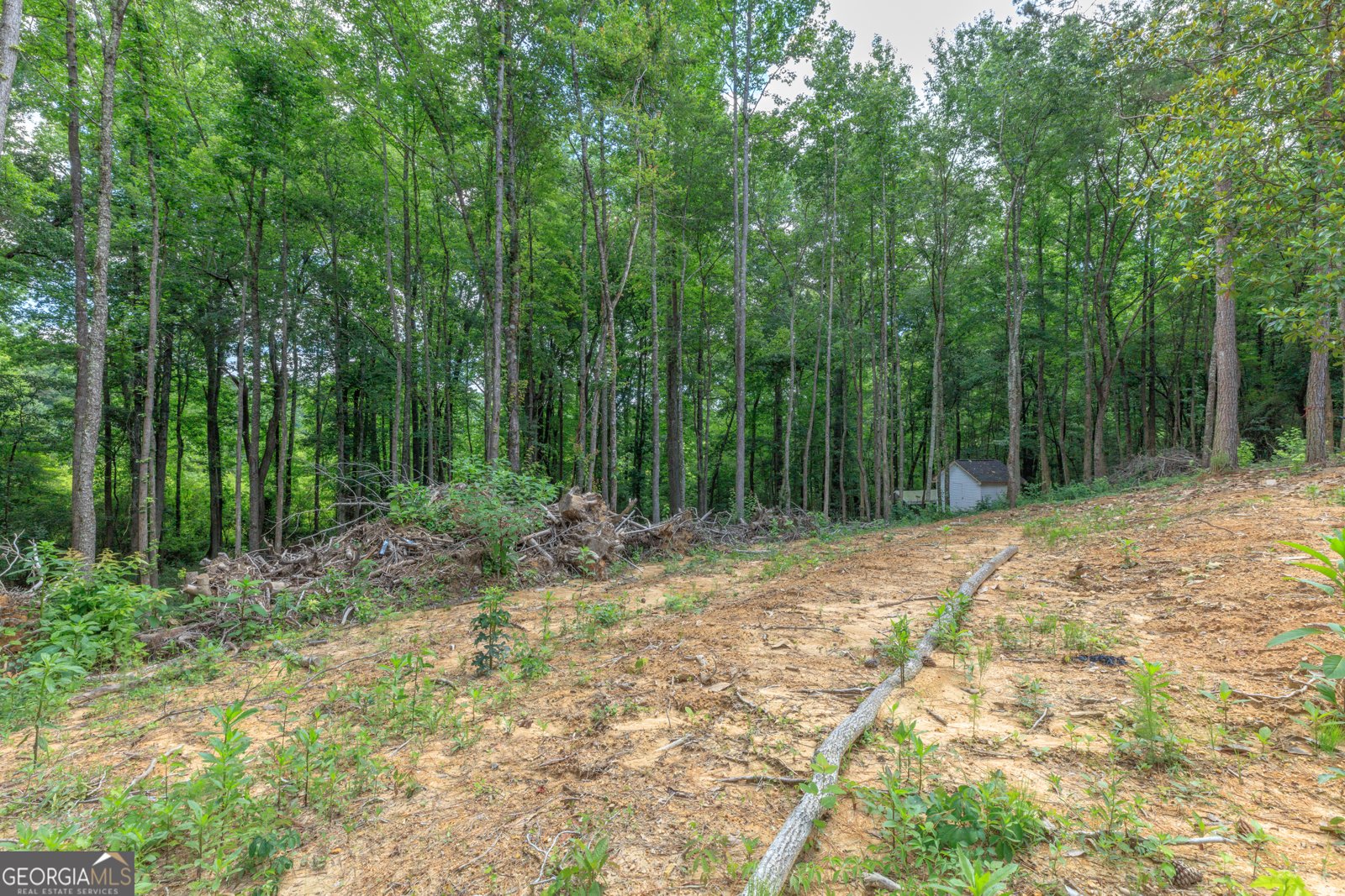 200 Wallaceville Cemeter Road Chickamauga - Photo 34