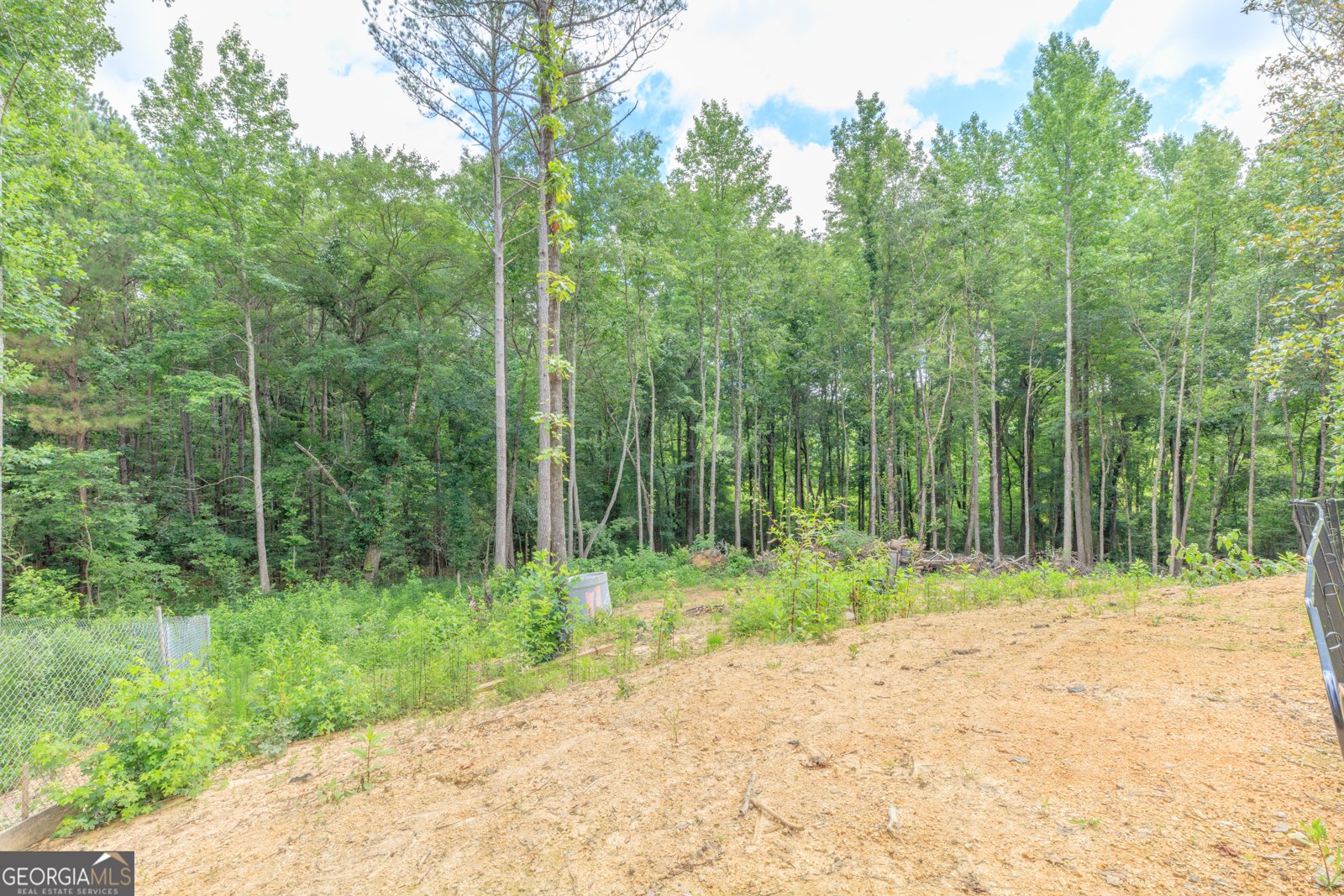 200 Wallaceville Cemeter Road Chickamauga - Photo 38