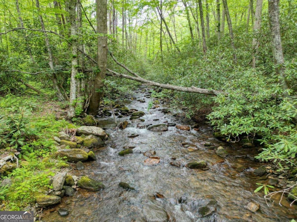 180 Dream Catcher Cove Hayesville - Photo 10