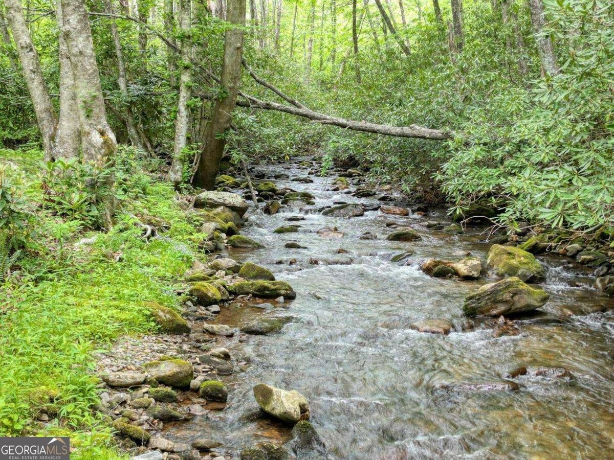 180 Dream Catcher Cove Hayesville - Photo 11