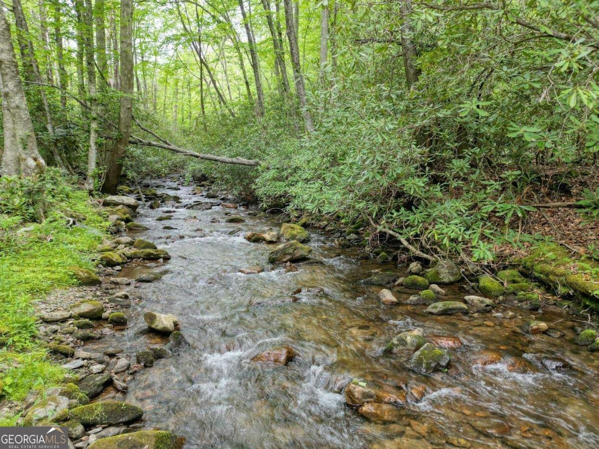 180 Dream Catcher Cove Hayesville - Photo 12