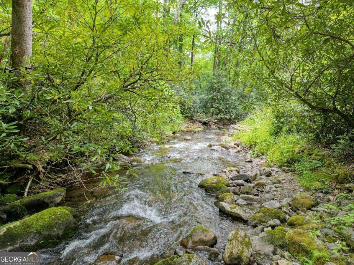 180 Dream Catcher Cove Hayesville - Photo 13