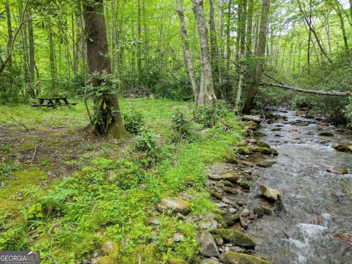 180 Dream Catcher Cove Hayesville - Photo 14
