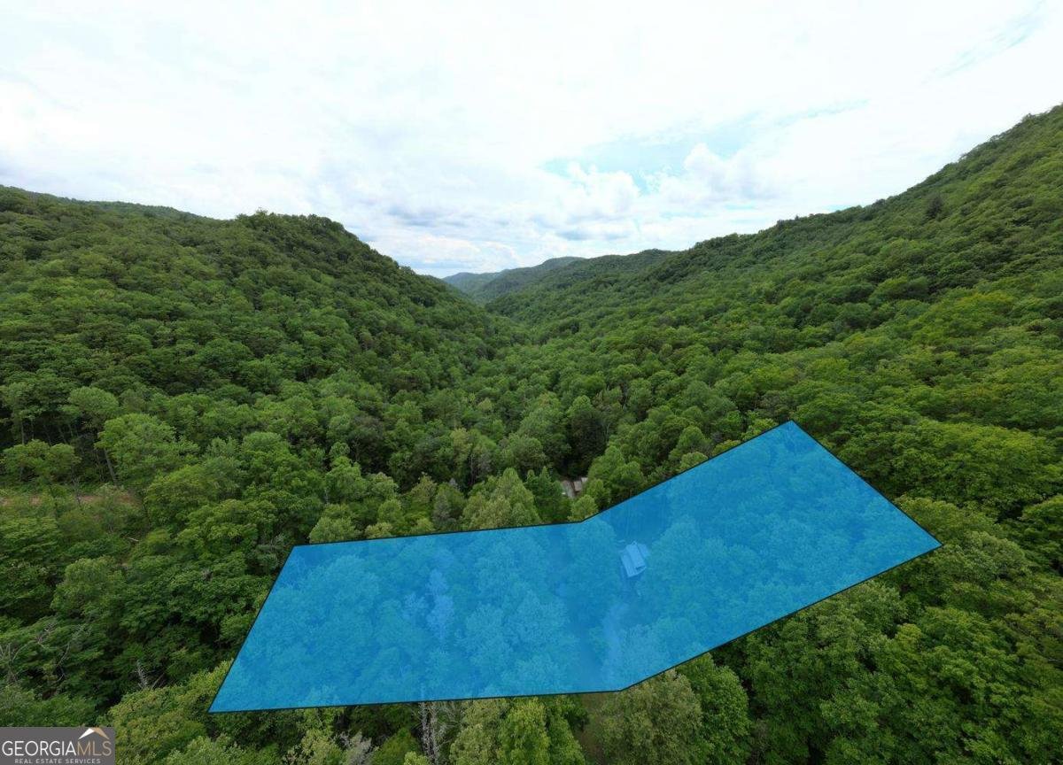 180 Dream Catcher Cove Hayesville - Photo 43