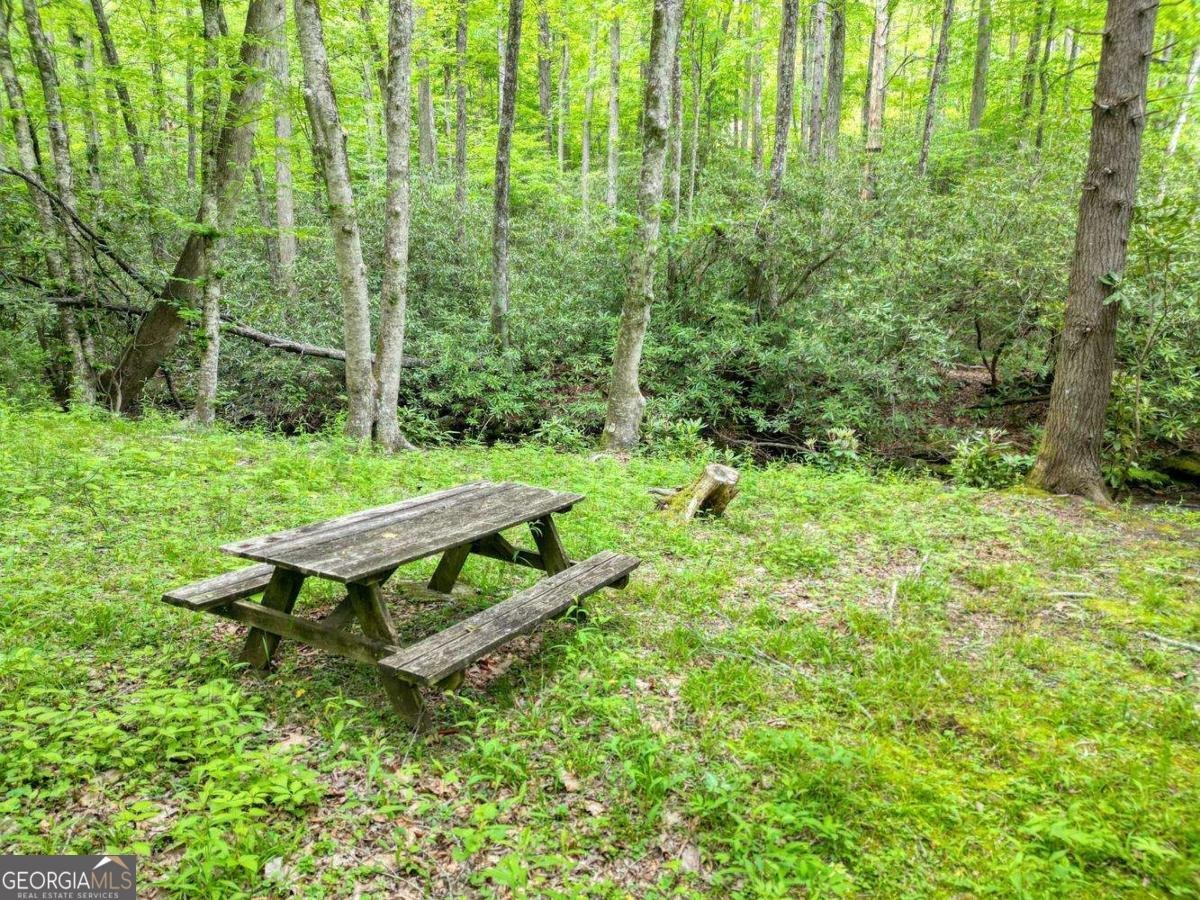 180 Dream Catcher Cove Hayesville - Photo 8