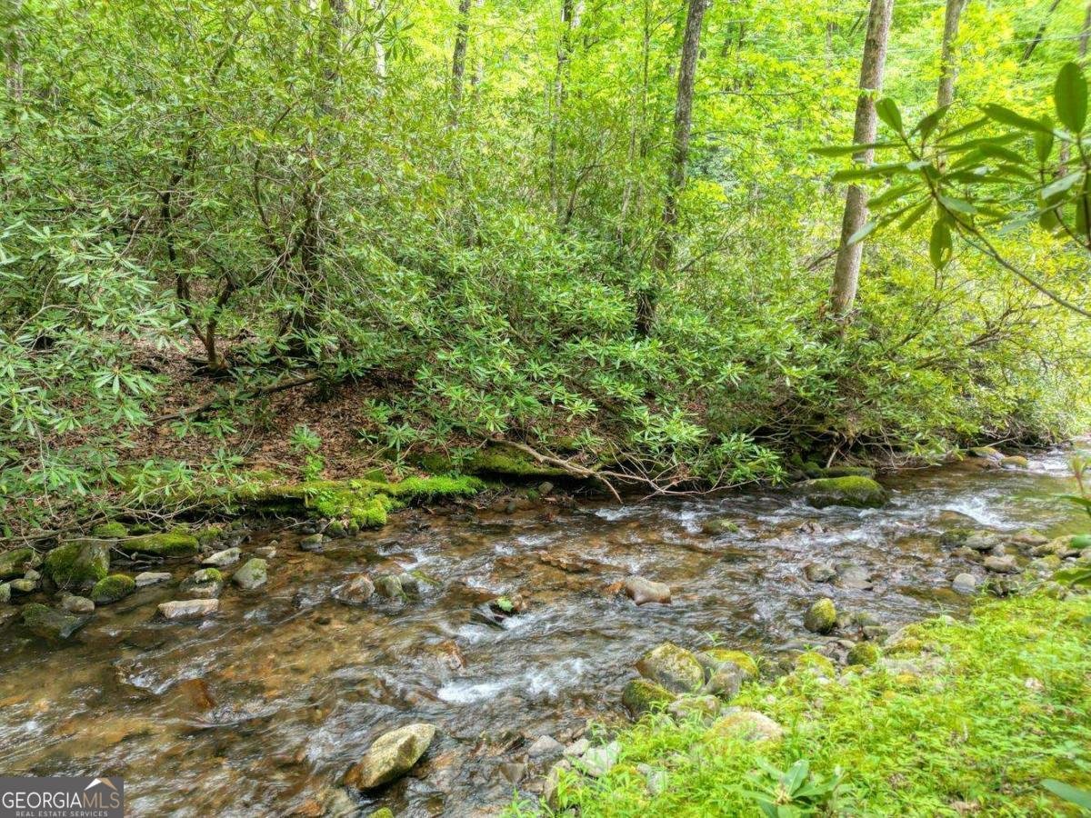 180 Dream Catcher Cove Hayesville - Photo 9