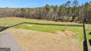 132 Bluff Mill Farms Drive Senoia - Photo 35