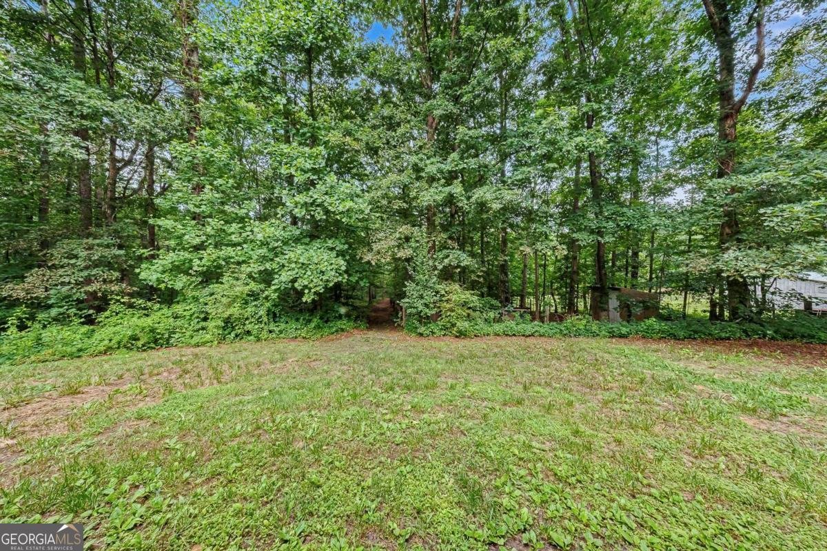 2717 Upper Sweetwater Trail White - Photo 46