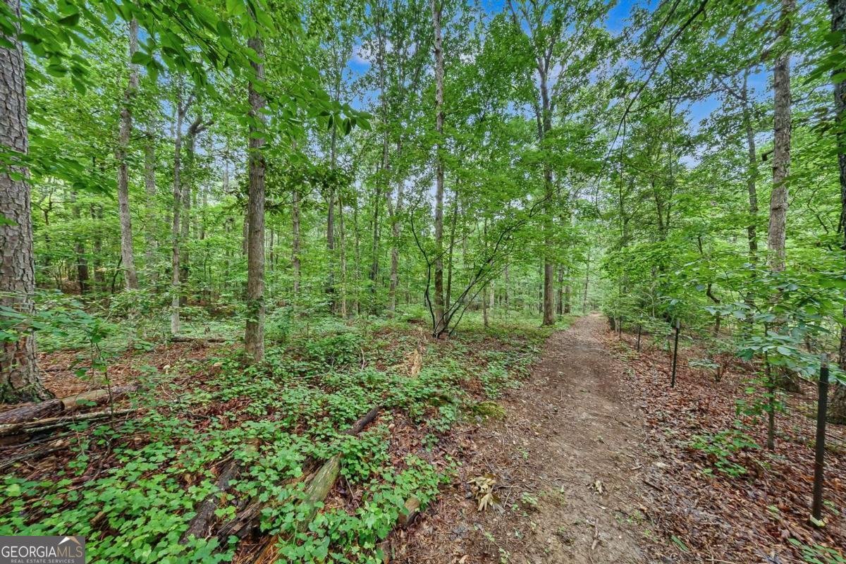2717 Upper Sweetwater Trail White - Photo 47