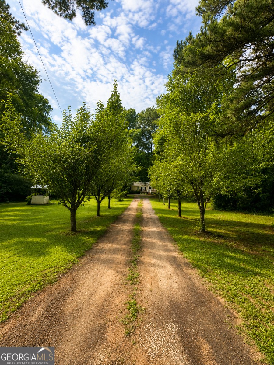 2368 Old Meansville Road Zebulon - Photo 12