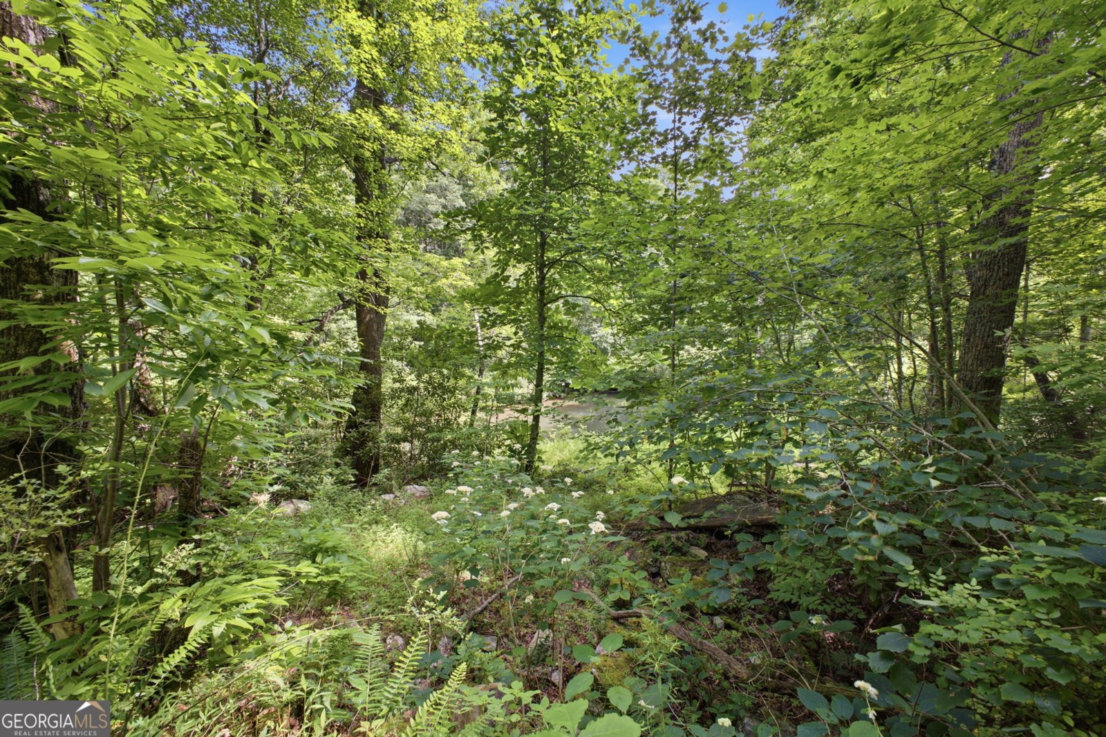 596 Riverhaven Lane Menlo - Photo 38