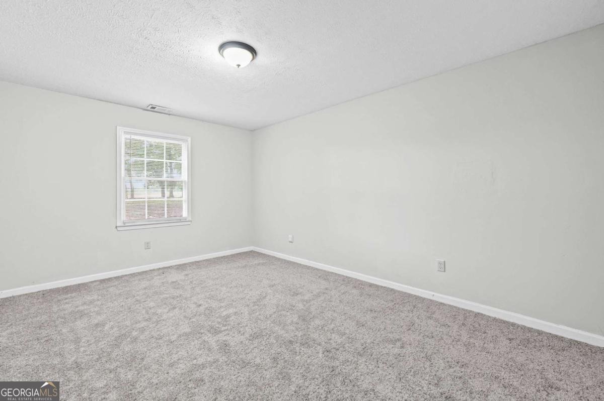 142 Summerfield Drive Mcdonough - Photo 17