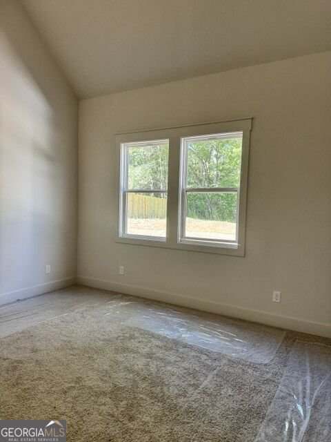 150 Wright Trace Fayetteville - Photo 21