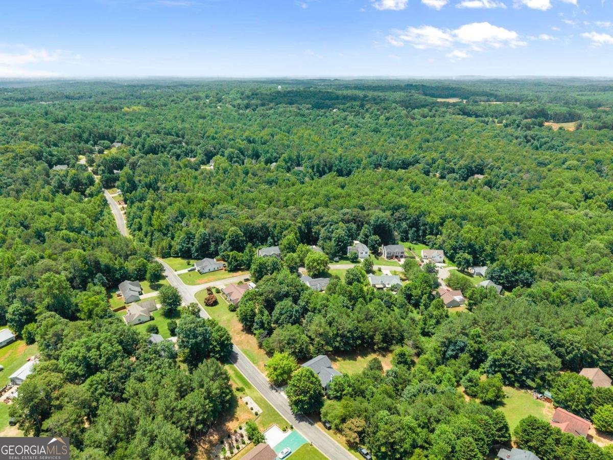 5308 Mountain View Parkway Lula - Photo 45