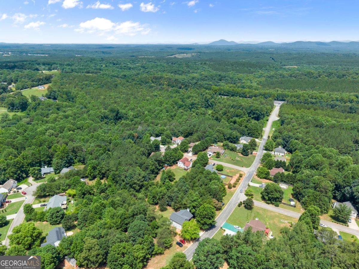 5308 Mountain View Parkway Lula - Photo 47