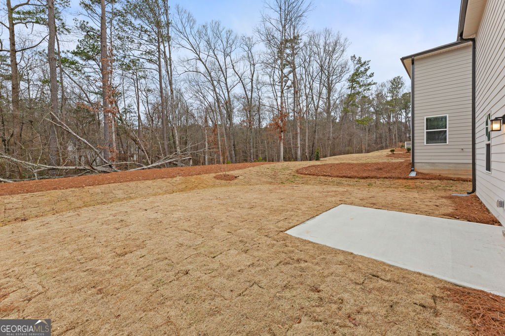 8047 Joyce Way Fairburn - Photo 32
