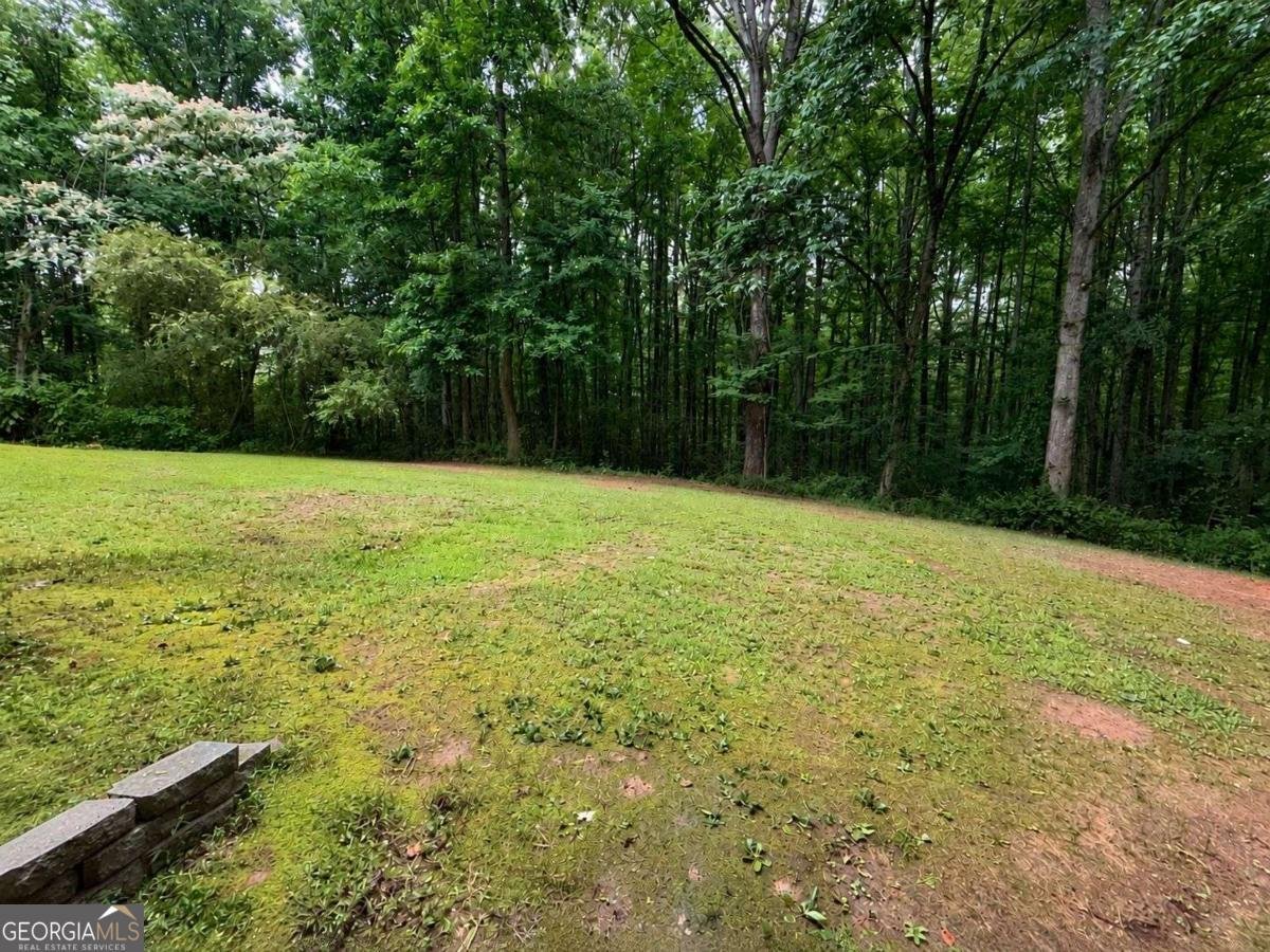 300 Robinson Drive Carrollton - Photo 30