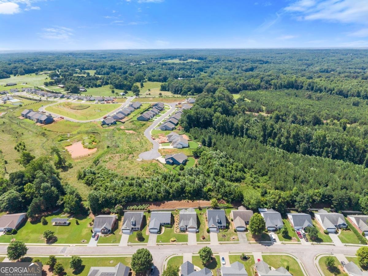316 Lakeview Bend Circle Jefferson - Photo 49