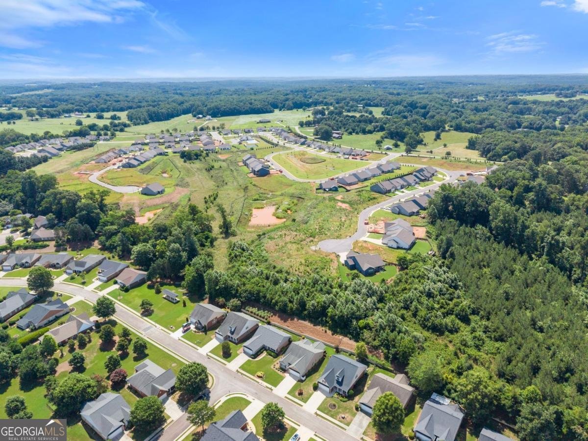 316 Lakeview Bend Circle Jefferson - Photo 51