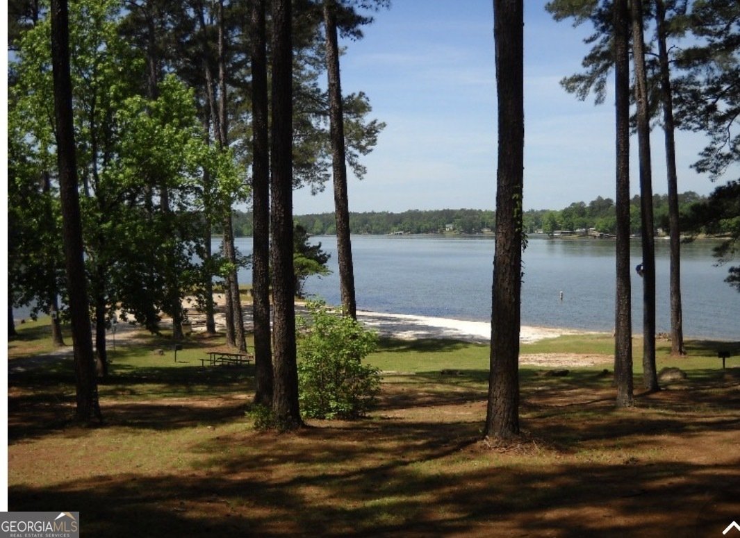 10 Goldeneye Court Monticello - Photo 19