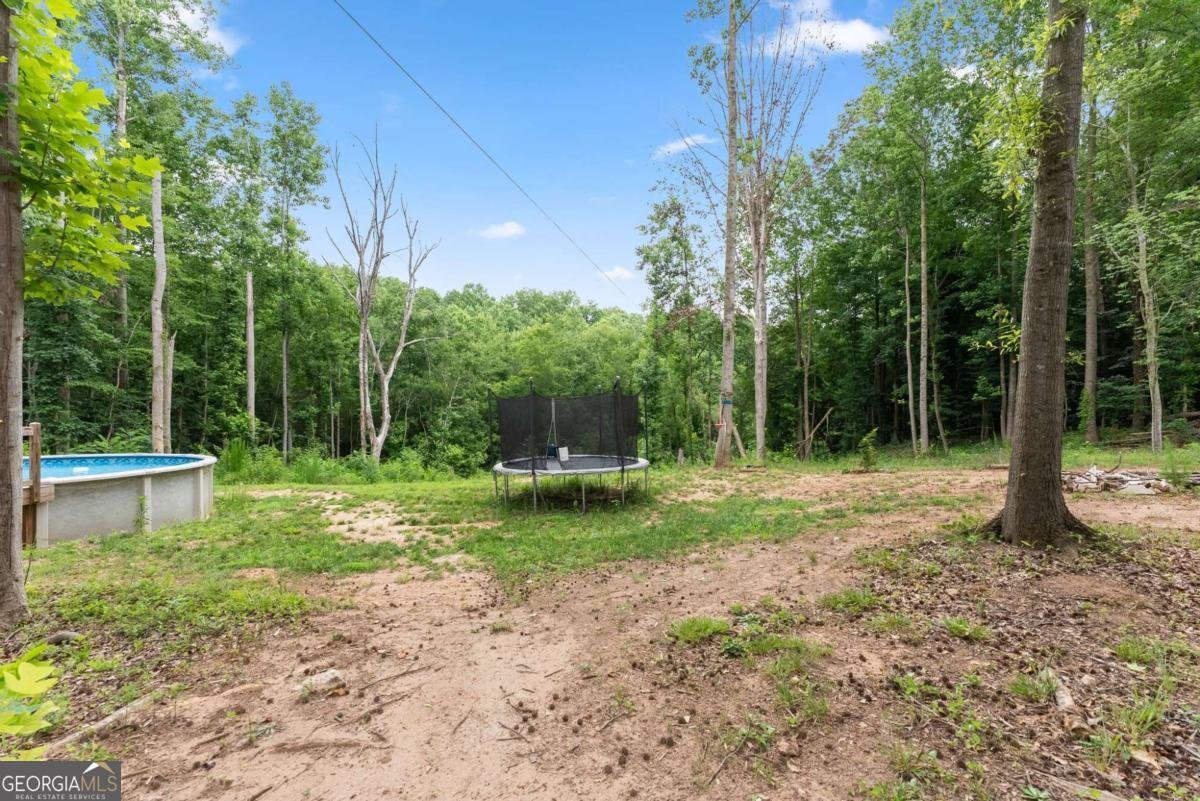 260 Falcon Lane Carnesville - Photo 37