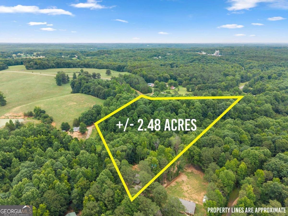 260 Falcon Lane Carnesville - Photo 38