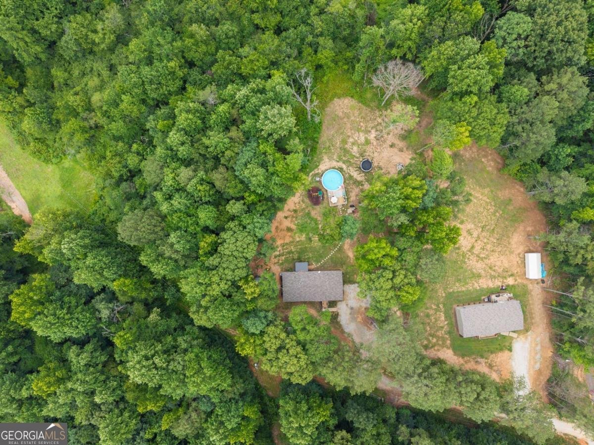 260 Falcon Lane Carnesville - Photo 39