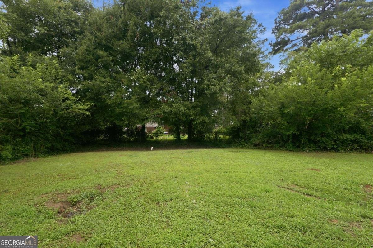 6005 Randy Lane Ellenwood - Photo 28