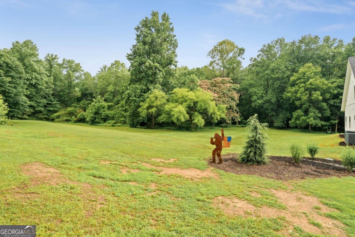 1485 Duffy Grizzle Road Dahlonega - Photo 49