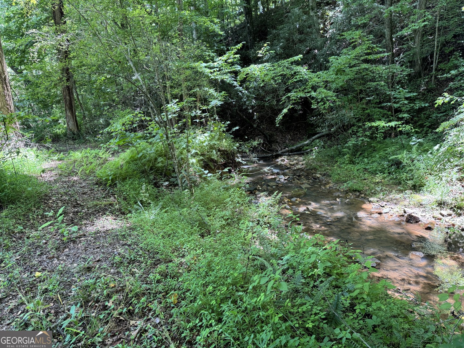 1485 Duffy Grizzle Road Dahlonega - Photo 50