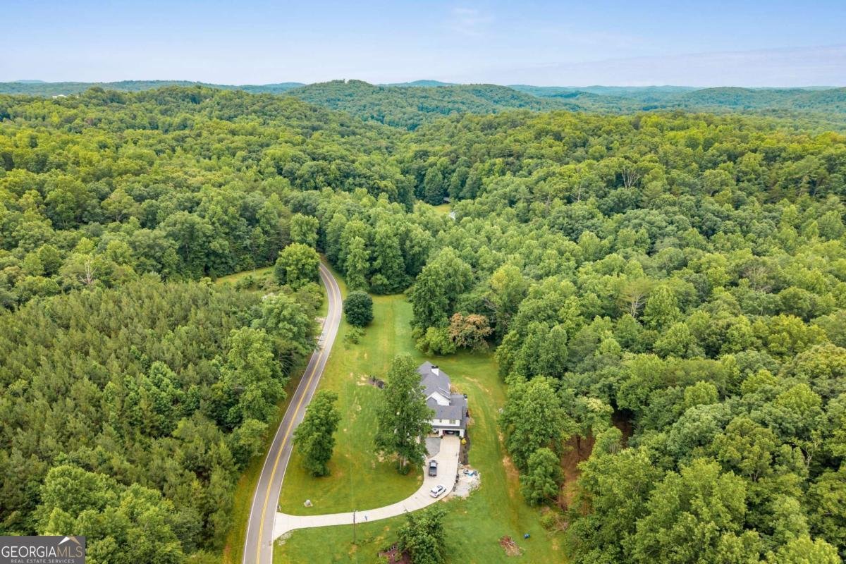 1485 Duffy Grizzle Road Dahlonega - Photo 6
