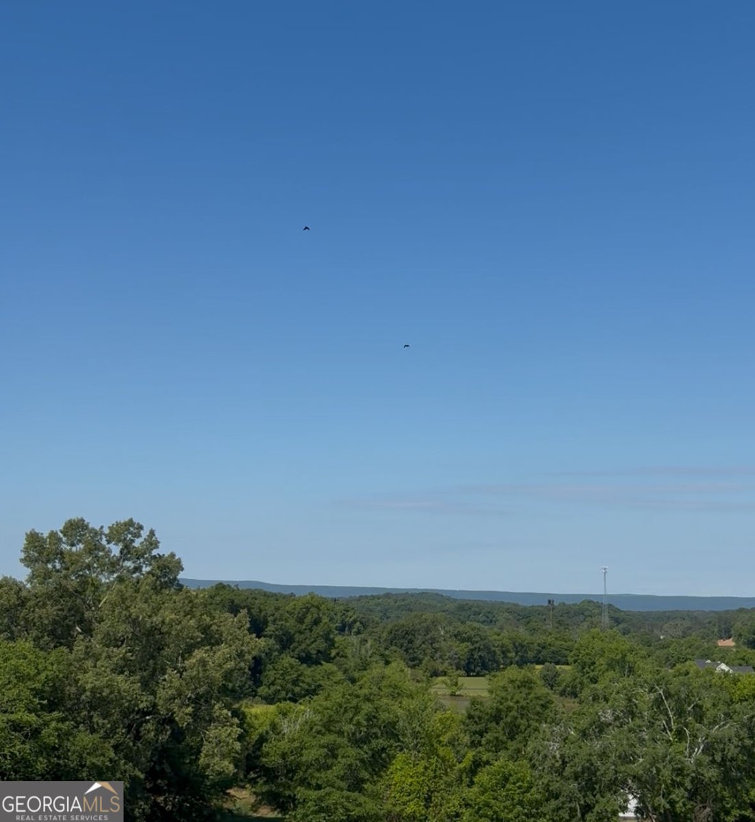 392 Nickelsville Road Resaca - Photo 10