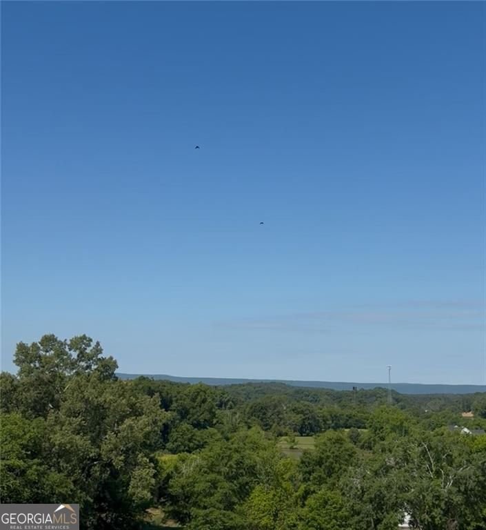 392 Nickelsville Road Resaca - Photo 15