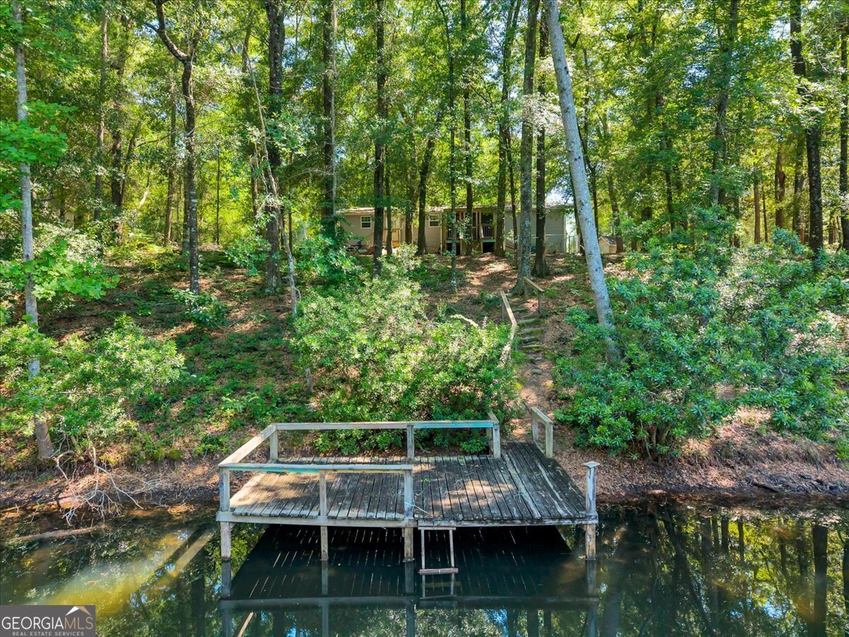 44 Spring Lake Drive Hawkinsville - Photo 29