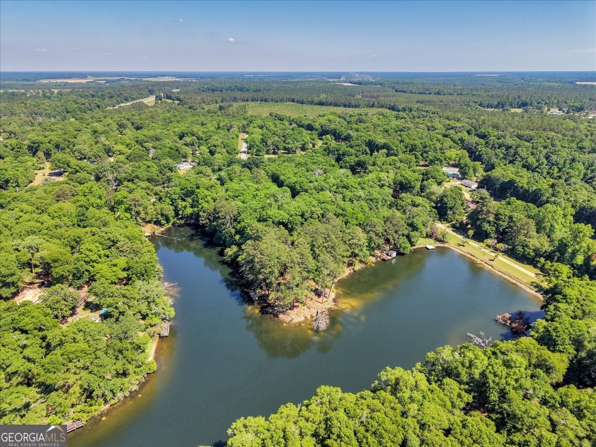 44 Spring Lake Drive Hawkinsville - Photo 30