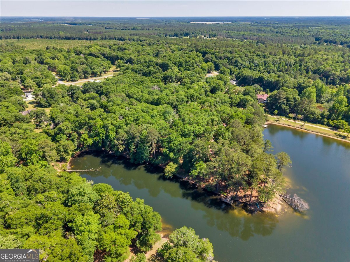 44 Spring Lake Drive Hawkinsville - Photo 32
