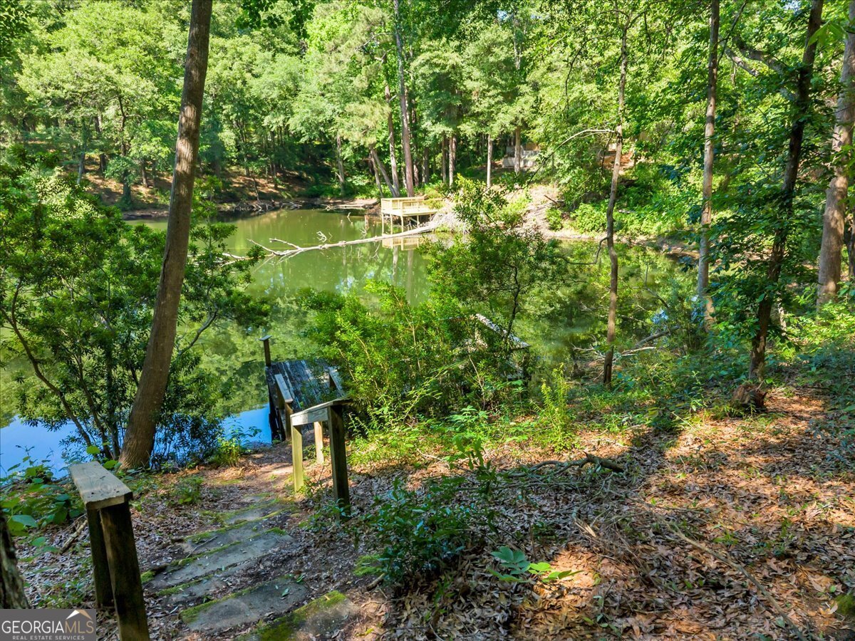 44 Spring Lake Drive Hawkinsville - Photo 41