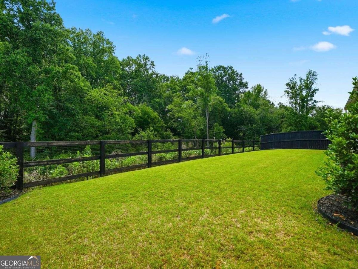 236 Quail Pass Dawsonville - Photo 28