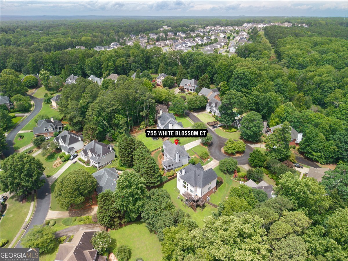755 White Blossom Court Powder Springs - Photo 58
