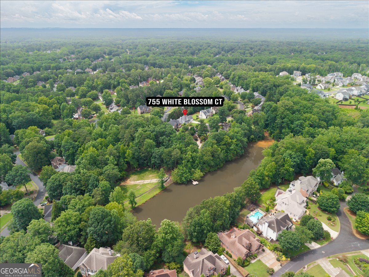 755 White Blossom Court Powder Springs - Photo 61