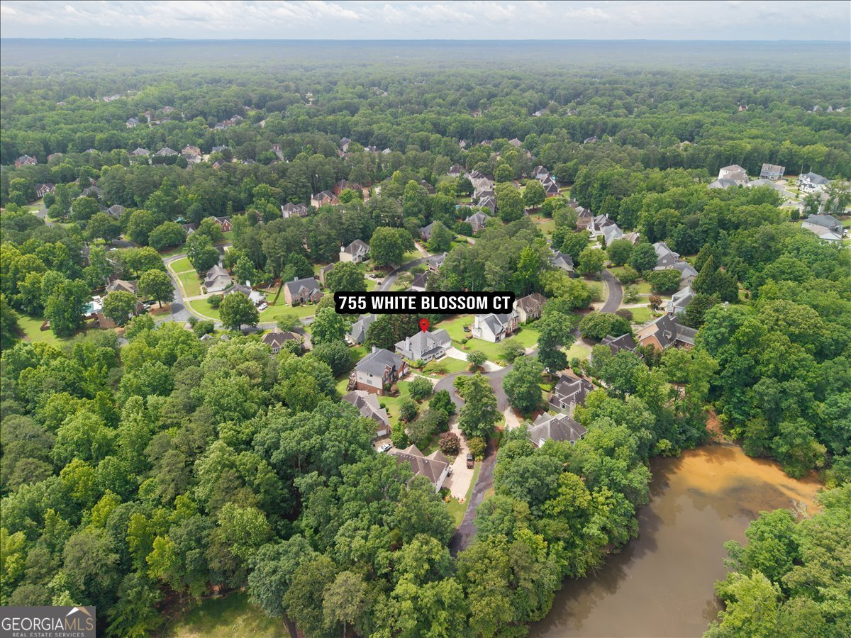 755 White Blossom Court Powder Springs - Photo 62